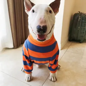 Bull Terrier Dog Clothes T-shirt Hoodie American Bully Pitbull Fashionable Dog Clothes for Bull Terriers, Pitbulls, Corgis, and More - T-Shirts, Hoodies, and Coats Corgi Samoyed Husky Labrador Golden Retriever Dog Clothing Coat